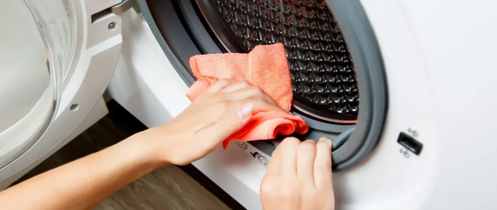 Clean the Rubber Door Gasket